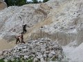 533 521 P1140165